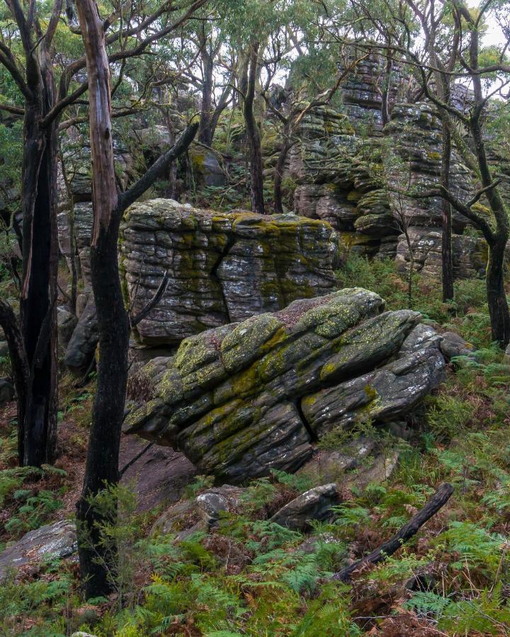 Wonderland Cottages Halls Gap Eksteriør bilde