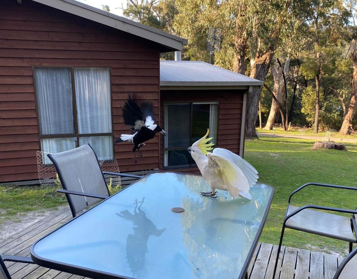Wonderland Cottages Halls Gap Eksteriør bilde